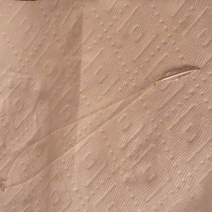 Silver feather necklace with chain